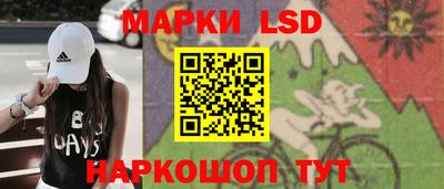 индика Шахты